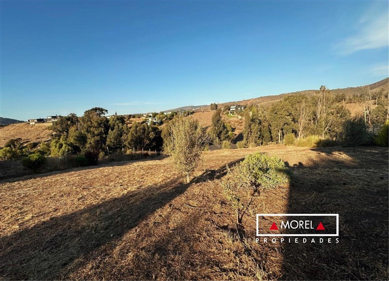 Sitio en condominio Polo, Maitencillo Sur