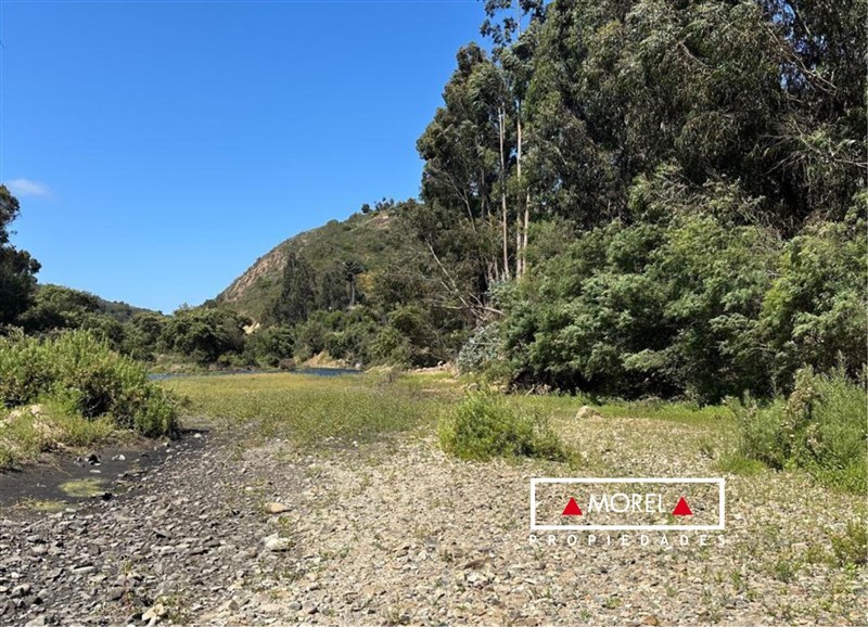 Terreno en venta cerca de casa Lagunita