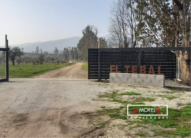 Orientación norte, sitio plano, con vegetación natural de la zona. Espinos, molles, tebal son algunos tipos de vegetació
