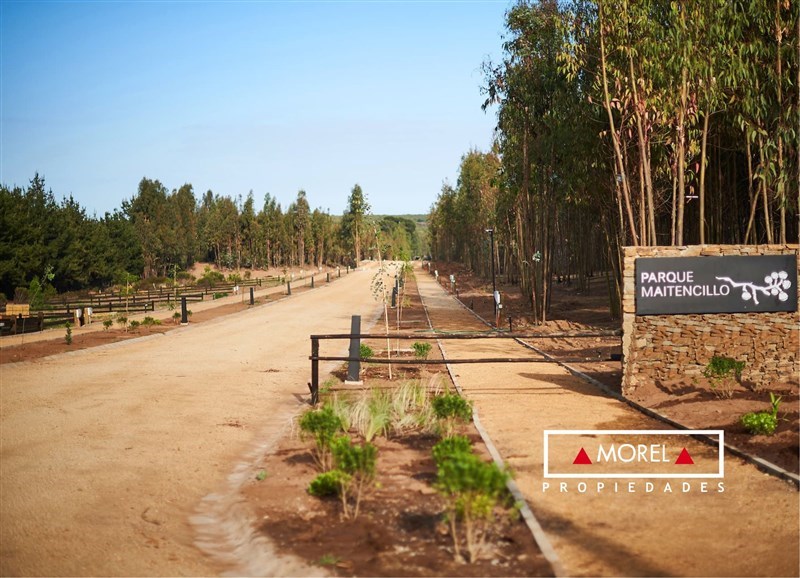 Descubre este exclusivo terreno de 1.000 m² en el corazón de un entorno boscoso, con suave relieve y áreas planas ideale
