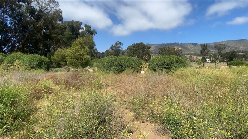 Terreno en Maitencillo conlindante con Marbella, plano, a 15 minutos a pie de la playa El Abanico, cercano a supermercad