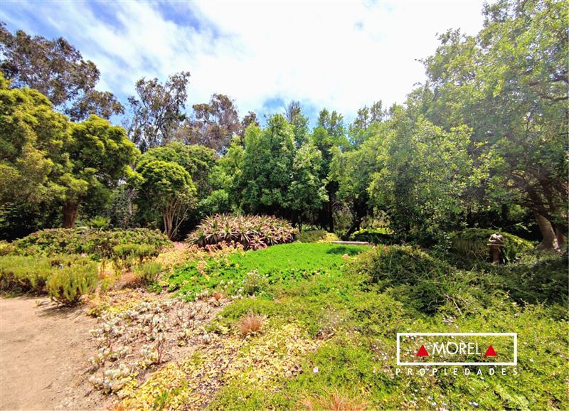 Terreno a pasos del golf de Cachagua