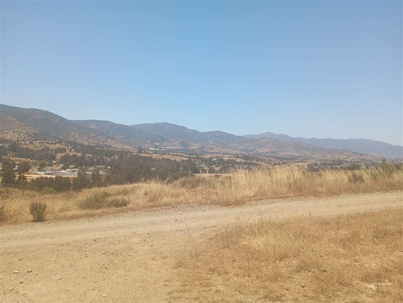 Proyecto en Rungue - Maitencillo