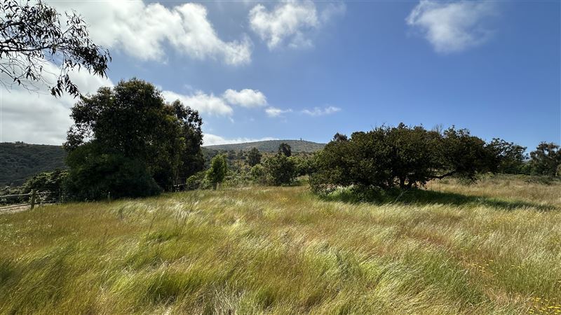 Gran terreno de 8.000 mts 2 en Sector Olivo Santo en Santa Bertina. Tiene una con vista al valle y vista lejana al mar y