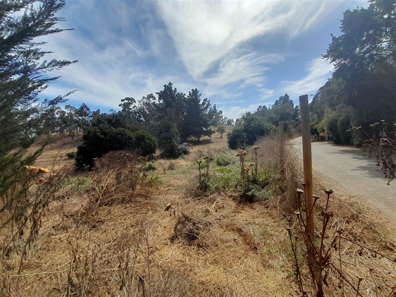 Lindo terreno con orientación poniente en tranquilo sector Caballito de palo (Rungue) factibilidad de luz y agua a 20 mi