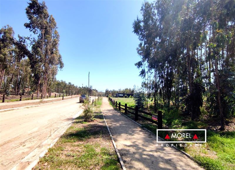 Terreno plano, leve lomaje, entorno boscoso. El Parque Maitencillo es nuevo y está en proceso de consolidación. Mil metr
