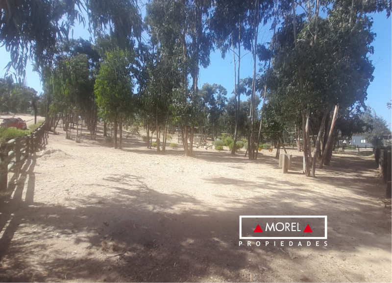 Precioso con orientación Poniente, terreno semi plano.