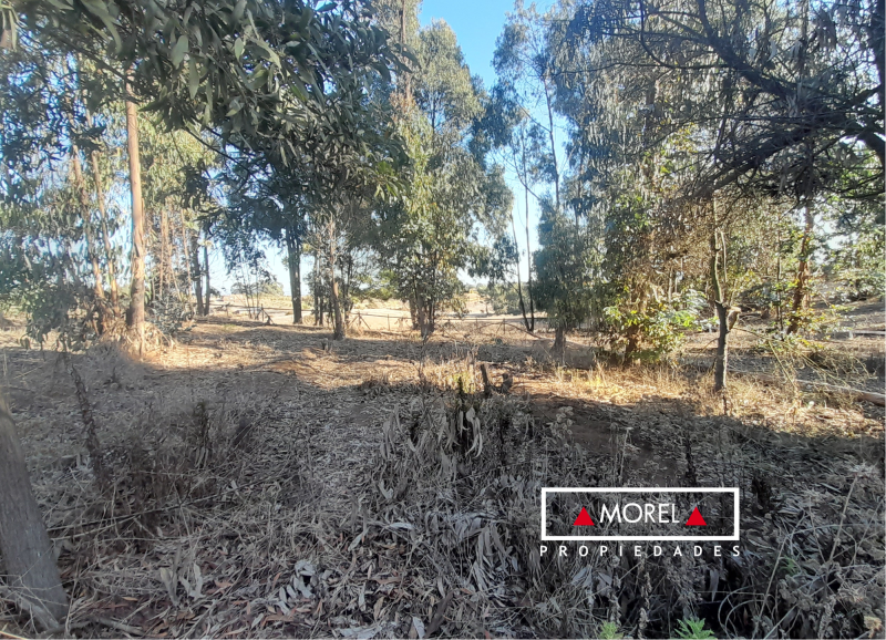 Sitio con orientación norte, plano, con vista maravillosa y excelente ubicación. Ideal para construir. El condominio cue