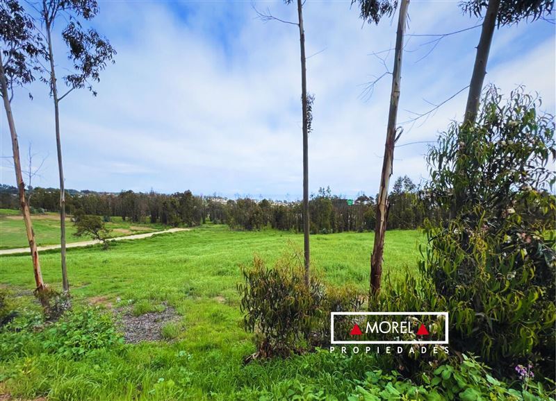 En exclusivo condominio sitio de 5625 mts2 subdivididles. Urbanizado, con agua Esval, luz, caminos con ripio compactado,
