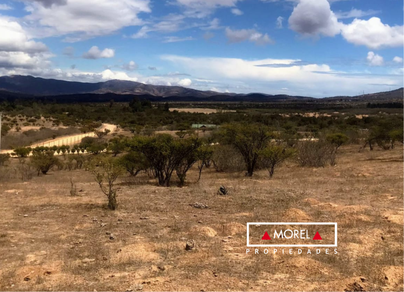 Parcela ubicada hacia el sector de La Mestiza en el condominio “La Foresta de Zapallar”.
