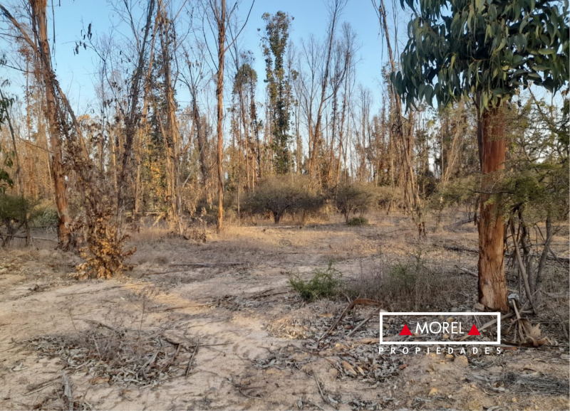 Parcela en el condominio “La Foresta de Zapallar”. El terreno es plano, ideal para construir. Excelente conectividad. A 