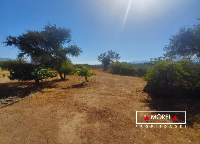 Sitio plano con excelente ubicación, en el sector de Catapilco cercano a valle del estero. Cuenta con rol propio, factib