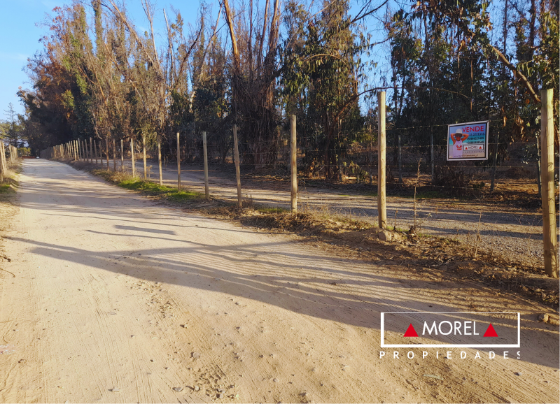 Terreno plano de una hectárea, en entorno campestre, factibilidad de agua y luz, rol independiente, acceso portón automá