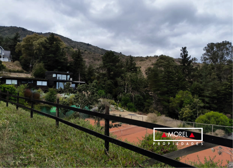 Mágico terreno en bosque nativo- Zapallar