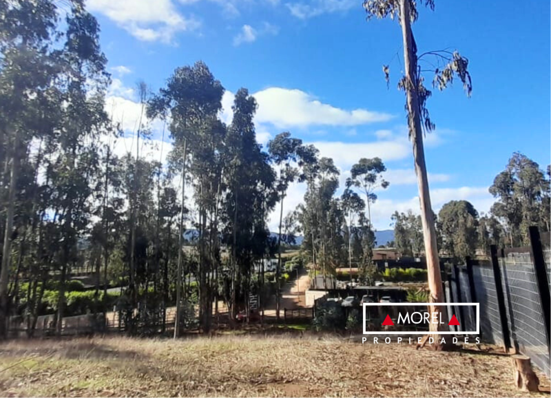 Exquisito terreno en Maitencillo Sur