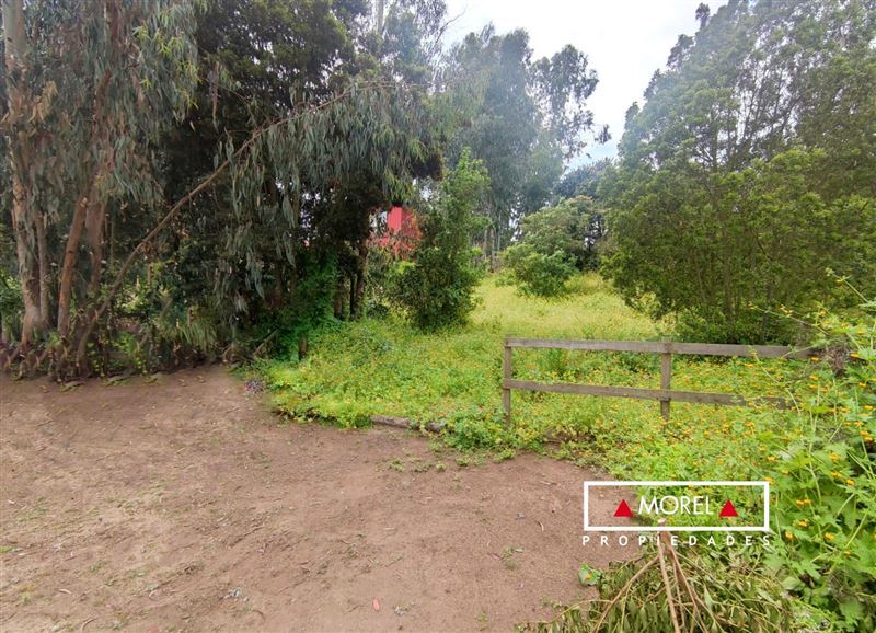 Terreno en Maitencillo - Condominio La Divisa