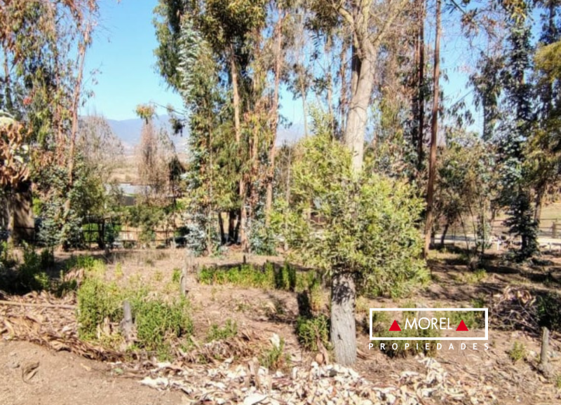 Terreno con pequeño lomaje, boscoso de 875 mts. Cuenta con agua de pozo y luz subterránea.