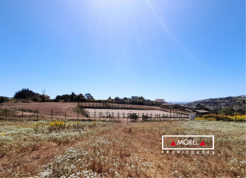 Este interesante terreno de 12.800 mts2 oficiales. Tiene una subdivisión predial mínima de 800 mts2, altura máxima permi