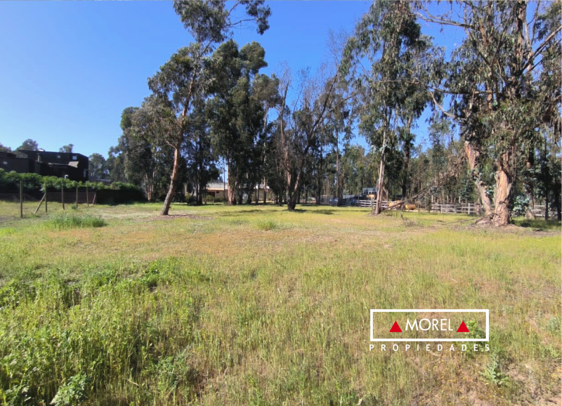 Loteo privado, sitio plano con vista amplia. Precioso árboles nativos. El condominio el boldo cuenta portón automático, 