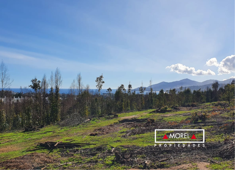 Exclusivo condominio con terrenos desde 5.000 mts, subdivididles. Urbanizado, con agua de Esval, luz, caminos con ripio 